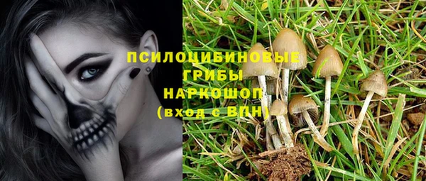 PSILOCYBIN Белоозёрский